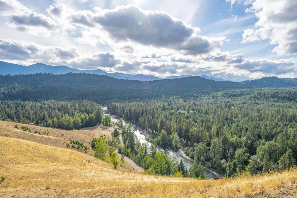 1a348141 fee0 4106 ab2b f1dd452a4447