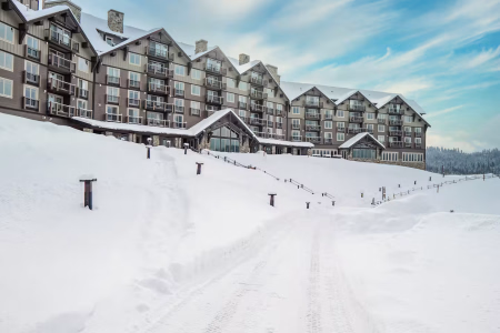 53b3bbcd ee1c 41ff 89c0 eb3f440fe523